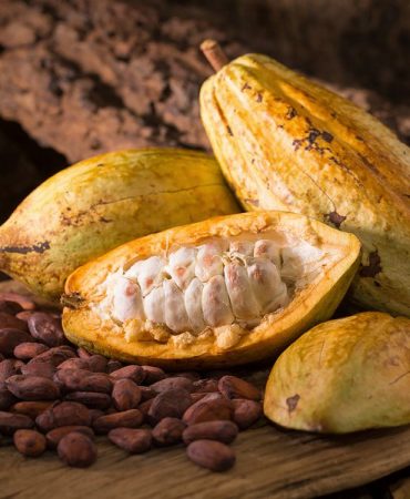 cacao